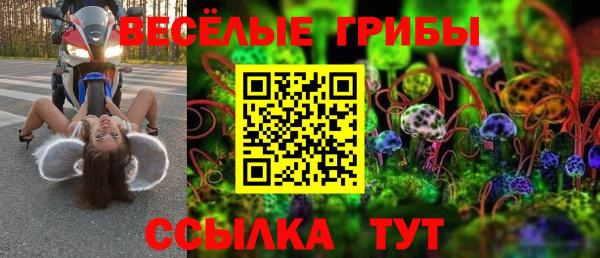 Галлюциногенные грибы мухоморы Ноябрьск